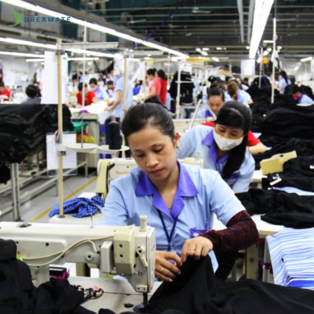 cong-ty-may-hong-viet-tai-tra-vinh-4.jpg (114 KB)