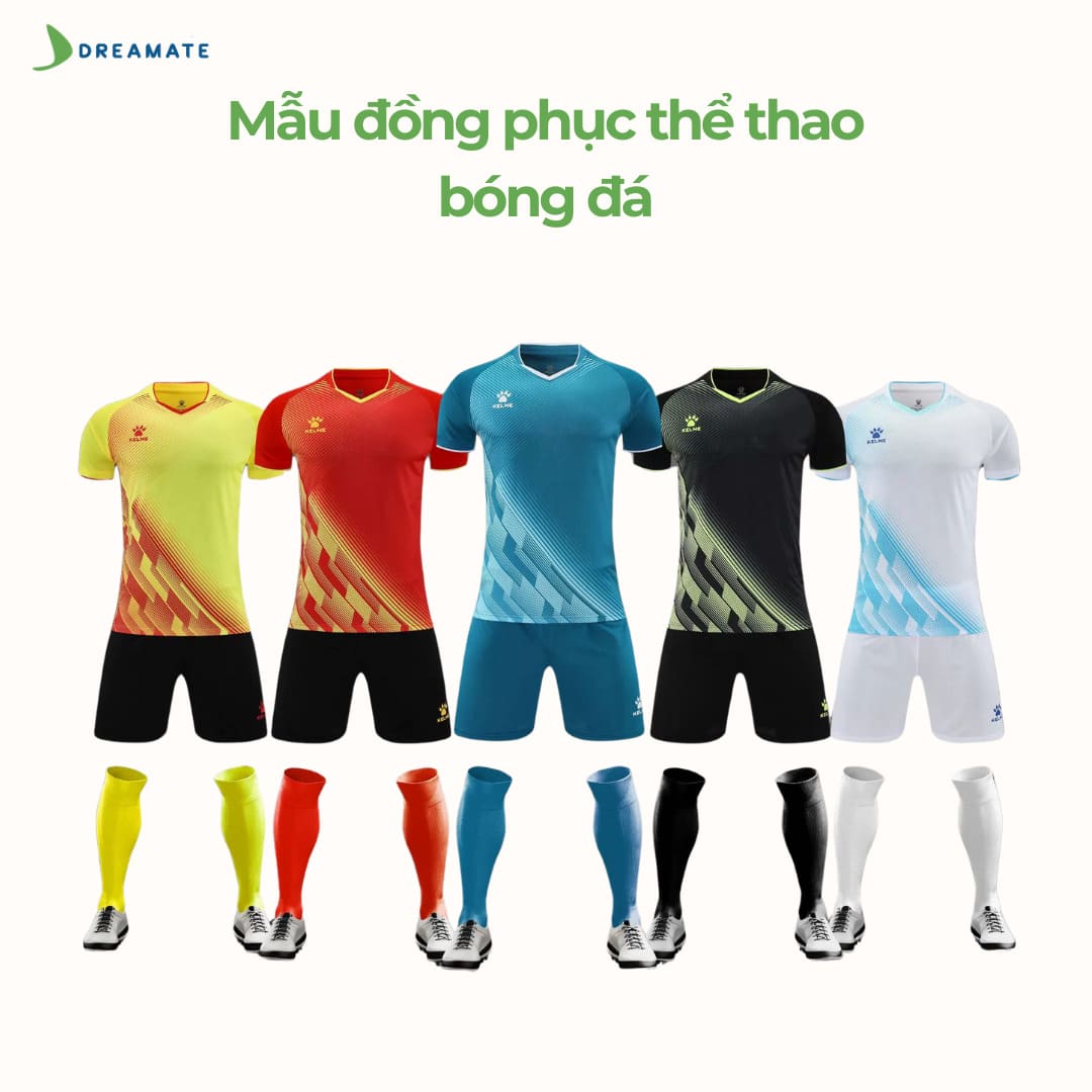 CÔNG TY TNHH SẢN XUẤT VÀ XNK CÁNH BUỒM XANH