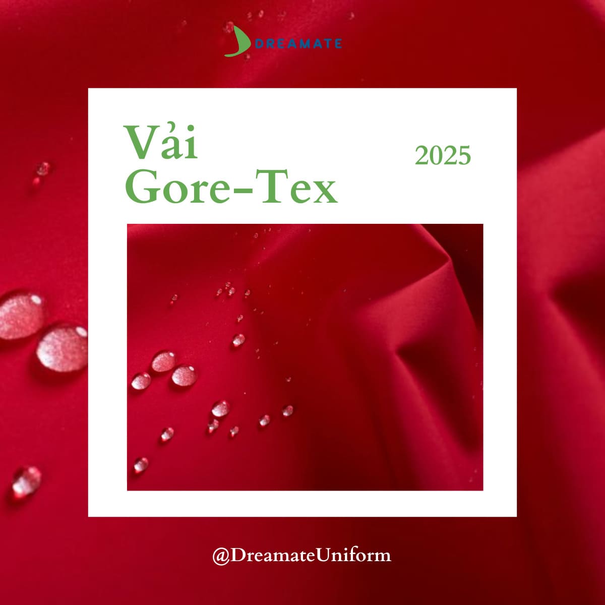 CÔNG TY TNHH SẢN XUẤT VÀ XNK CÁNH BUỒM XANH